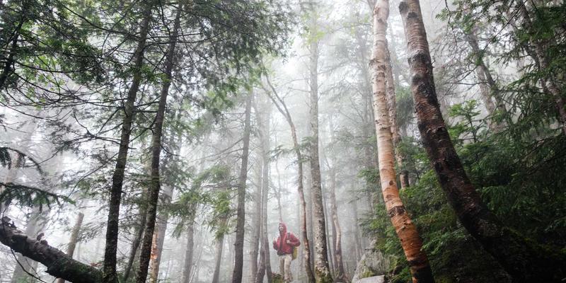 深圳中年危机心理咨询：如何化解事业转型压力、平衡家庭责任与重寻人生意义