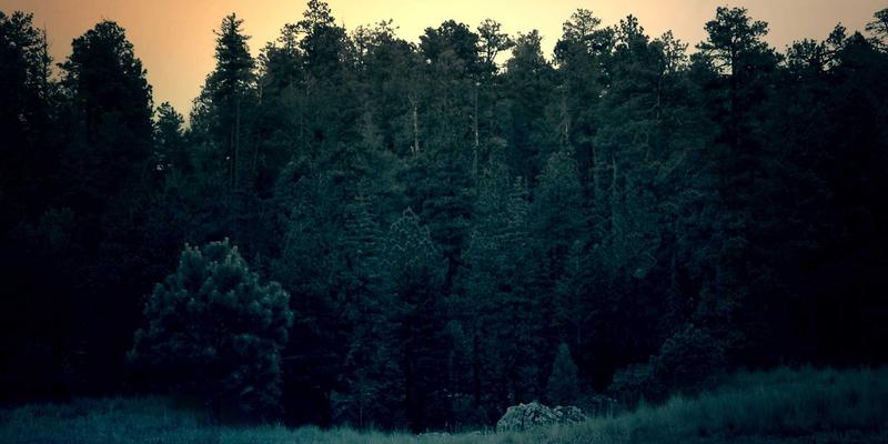 深圳亲密关系修复咨询：专业化解情感疏离与信任危机的压力缓解与情绪管理方案