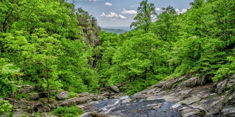 深圳亲密关系心理咨询：从单身到稳定关系的情绪管理与情感服务指南