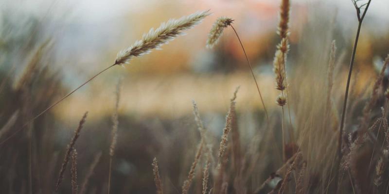 深圳企业管理者心理资本提升：从情绪管理到团队心理建设的领导力发展