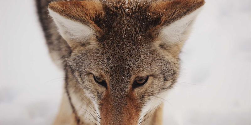 深圳儿童心理咨询师如何选择？专业指南助您找到适合孩子的情绪管理专家