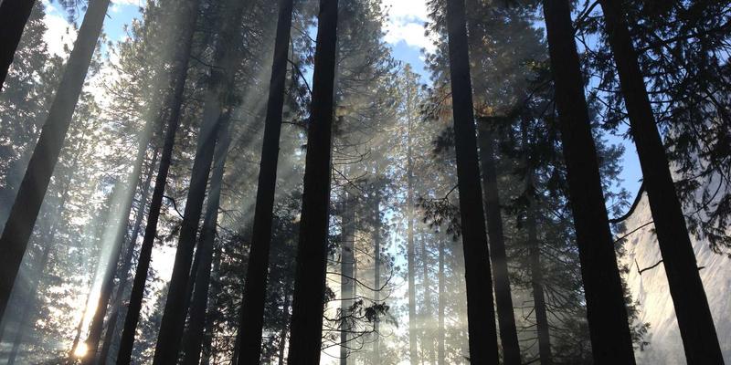 深圳哀伤辅导与丧失应对：专业情感服务如何帮助处理亲人离世与重大失落