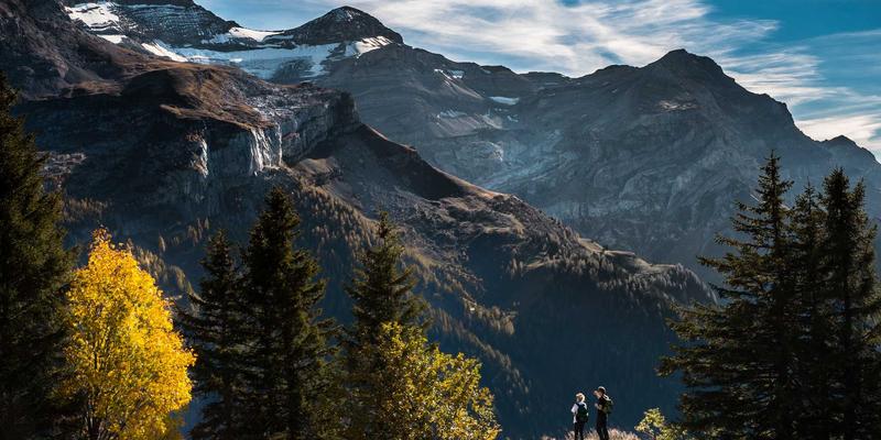 深圳家庭系统治疗：专业心理辅导如何改善代际沟通与化解复杂家庭矛盾