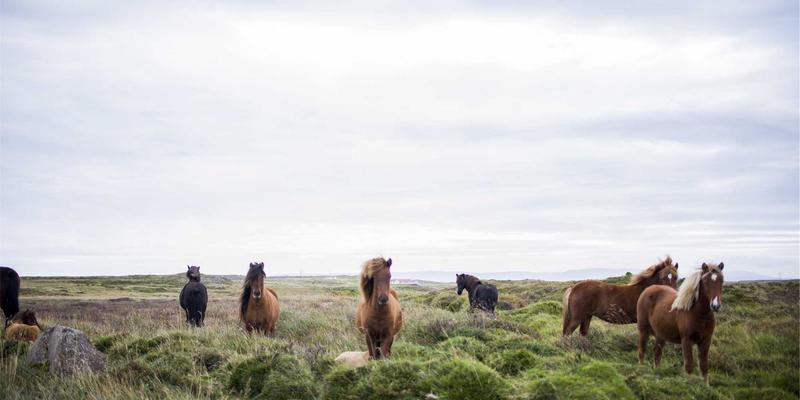 深圳强迫症（OCD）的认知行为疗法：打破思维与行为循环的实战指南 | 压力缓解与心理辅导专家解析