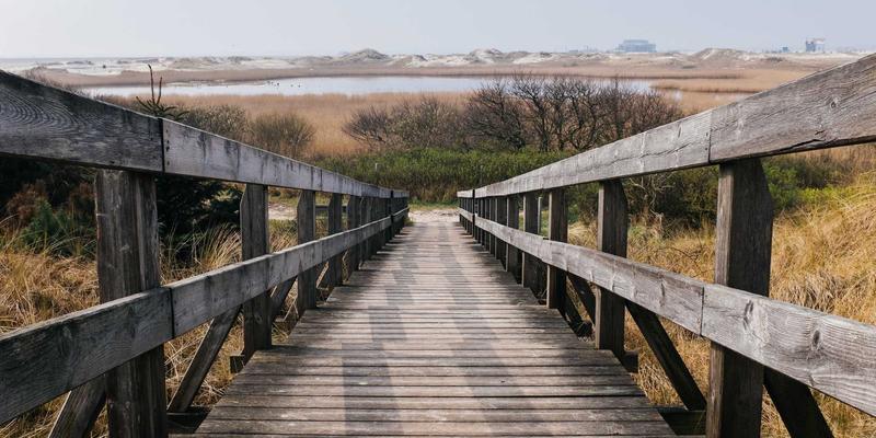 深圳心理咨询83：专业情感服务与心理辅导，守护您的心理健康