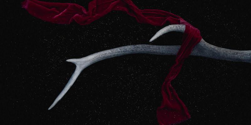 深圳心理咨询：专业情绪管理与情感服务，助您重获内心平衡