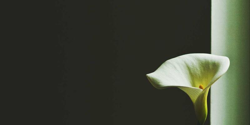 深圳心理咨询中的正念减压疗法：都市白领高效压力缓解与情绪管理指南