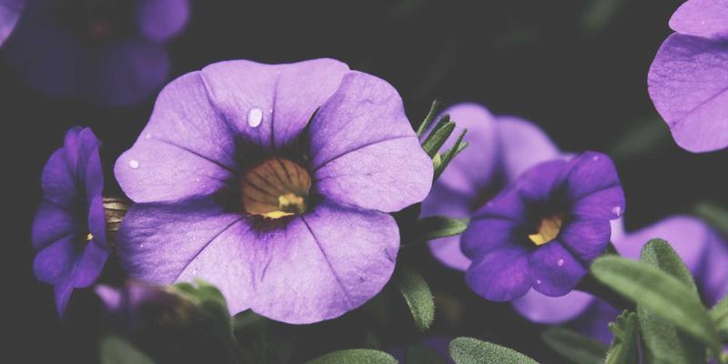 深圳心理咨询中的沙盘游戏疗法：儿童与成人非语言表达的情绪管理与压力缓解之道