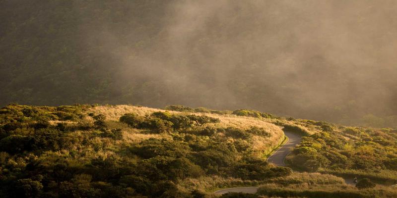 深圳心理咨询深度评测：专业情绪管理与情感服务如何选择
