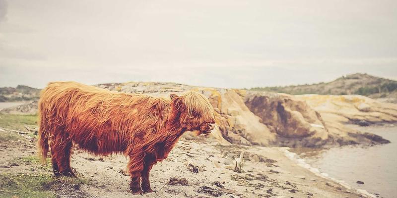 深圳情绪管理训练课程：在婚姻咨询与心理咨询中学会转化愤怒与悲伤