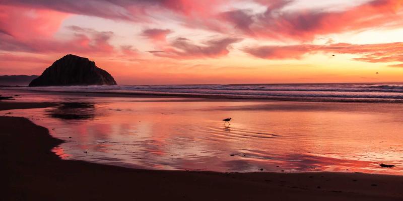 深圳职场倦怠与职业耗竭心理咨询：科学缓解压力，重燃工作热情与意义感