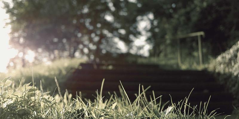 深圳高敏感人群（HSP）心理咨询：专业心理辅导与情绪管理，在都市喧嚣中重获内心平静